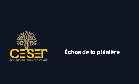 Bandeau Échos de la plénière